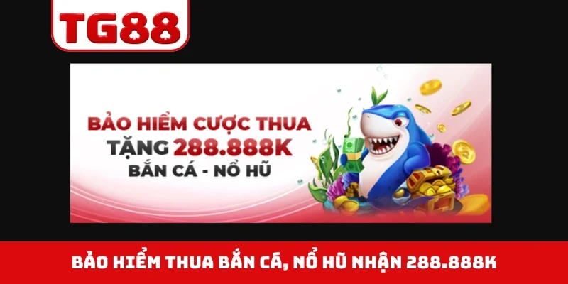 Bảo hiểm thua bắn cá, nổ hũ nhận 288.888K