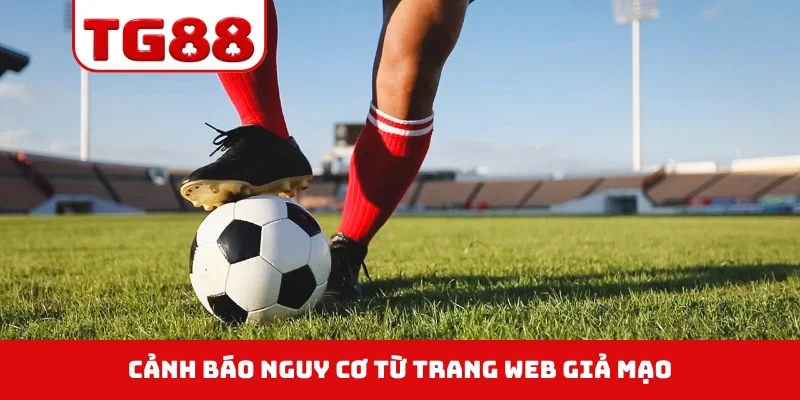 Cảnh báo nguy cơ từ trang web giả mạo