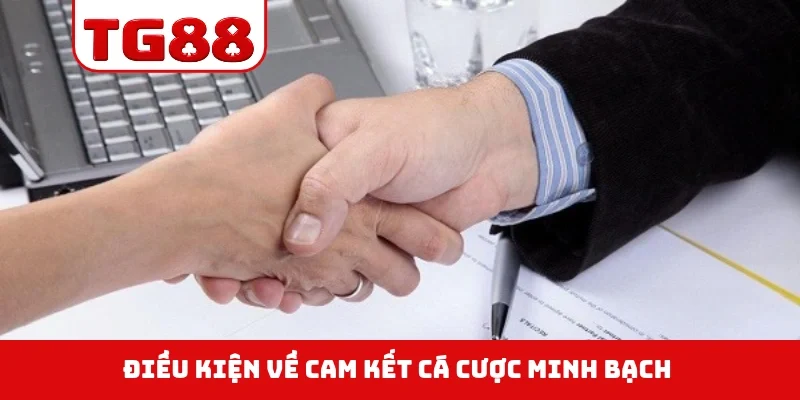Điều kiện về cam kết cá cược minh bạch