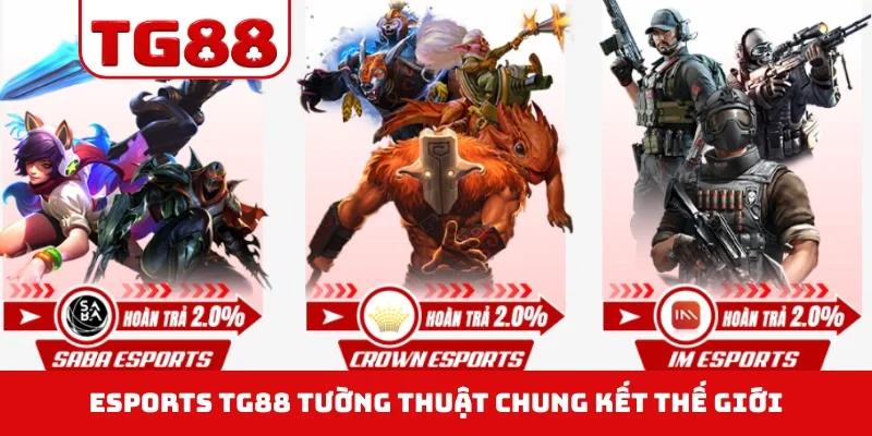 Esports TG88 tường thuật Chung Kết Thế Giới