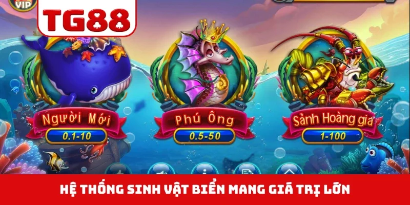 Hệ thống sinh vật biển mang giá trị lớn