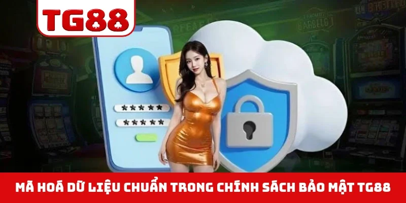 Mã hoá dữ liệu chuẩn trong chính sách bảo mật TG88