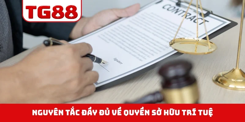 Nguyên tắc đầy đủ về quyền sở hữu trí tuệ