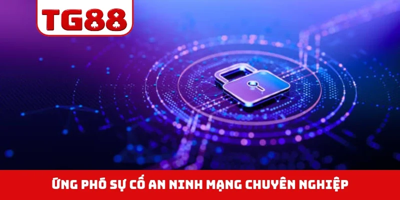 Ứng phó sự cố an ninh mạng chuyên nghiệp